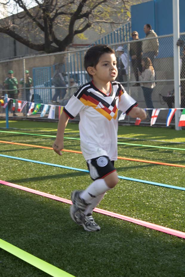 Ir a la Siguiente Foto