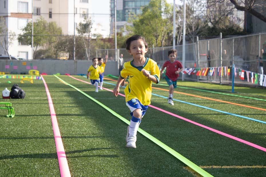 Ir a la Siguiente Foto