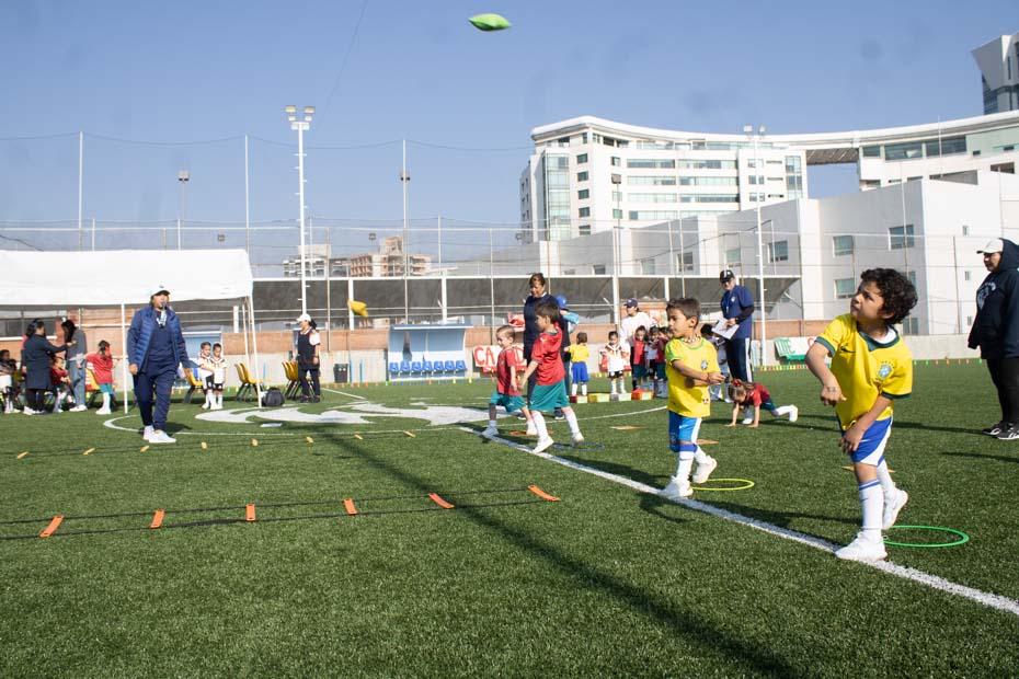 Ir a la Siguiente Foto