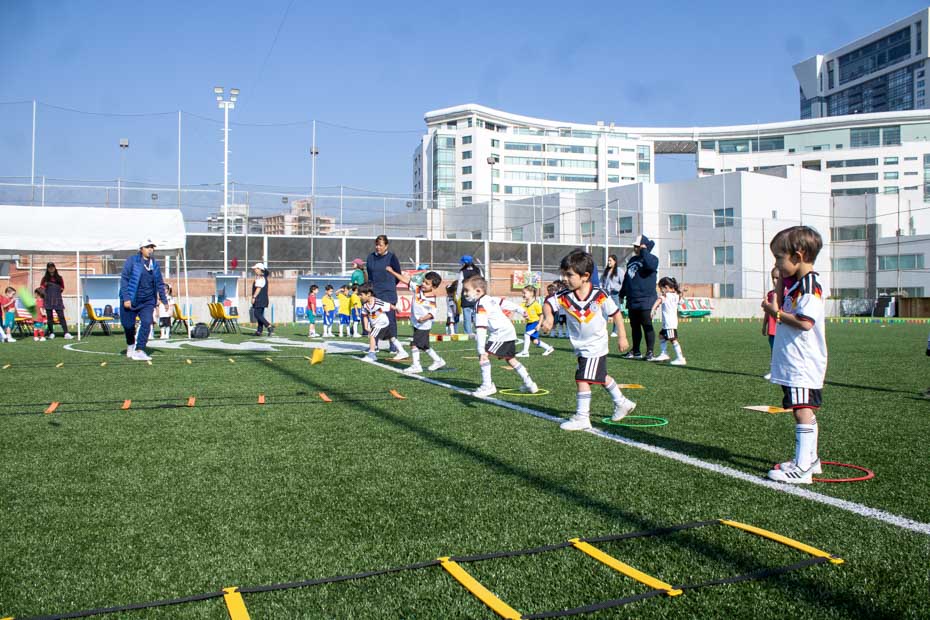 Ir a la Siguiente Foto