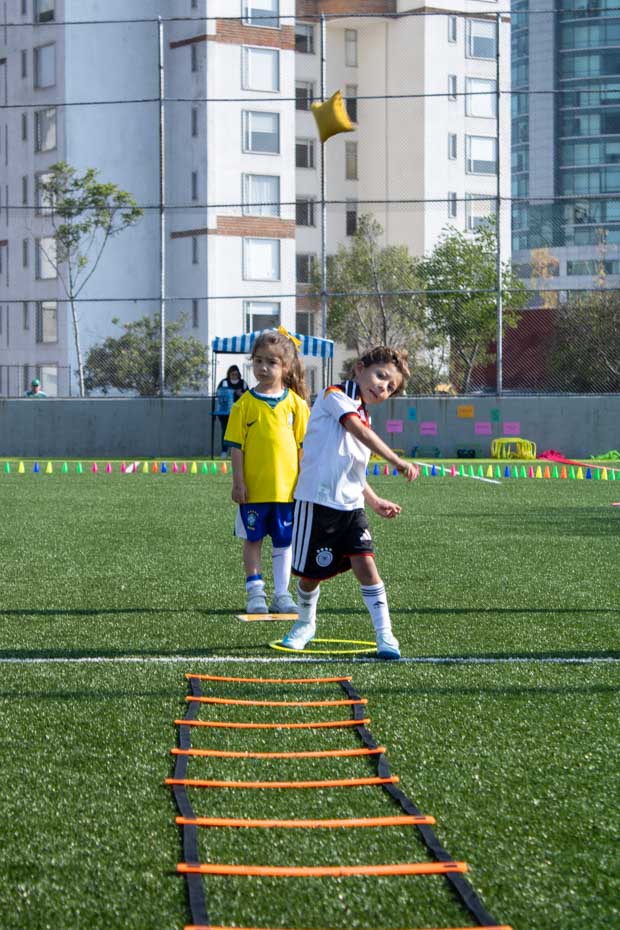 Ir a la Siguiente Foto