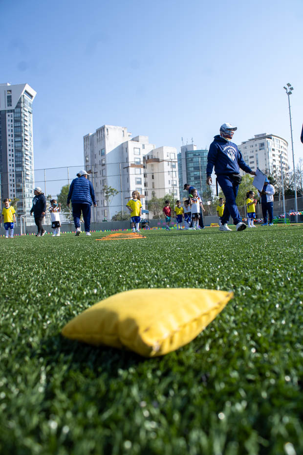 Ir a la Siguiente Foto