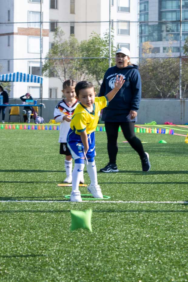 Ir a la Siguiente Foto