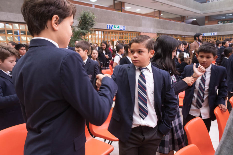 Ir a la Siguiente Foto