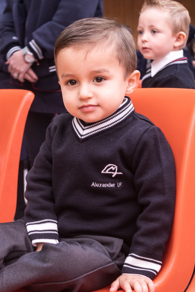 Ir a la Siguiente Foto