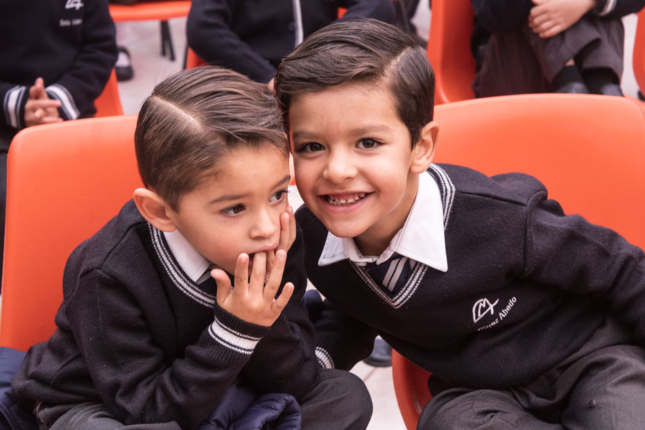 Ir a la Siguiente Foto