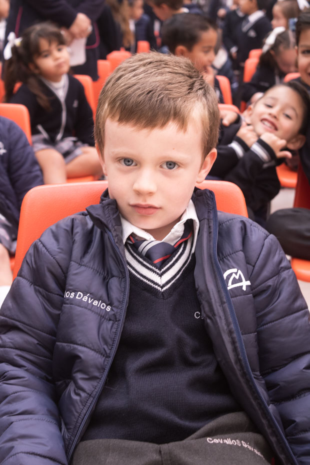 Ir a la Siguiente Foto