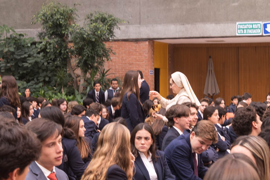 Ir a la Siguiente Foto