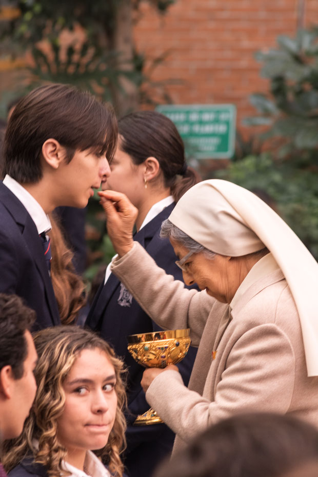 Ir a la Siguiente Foto