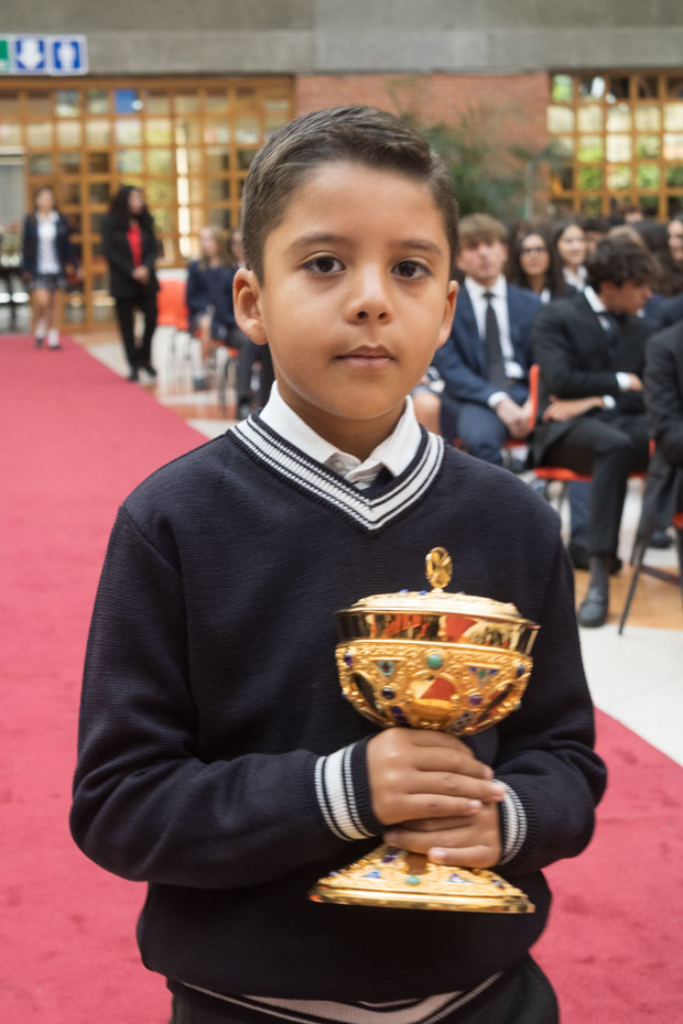 Ir a la Siguiente Foto