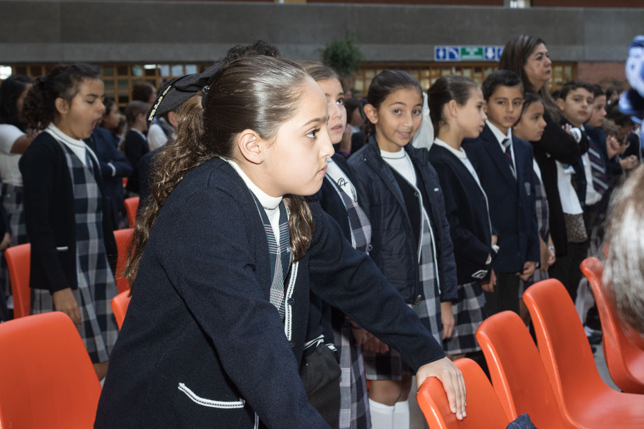 Ir a la Siguiente Foto