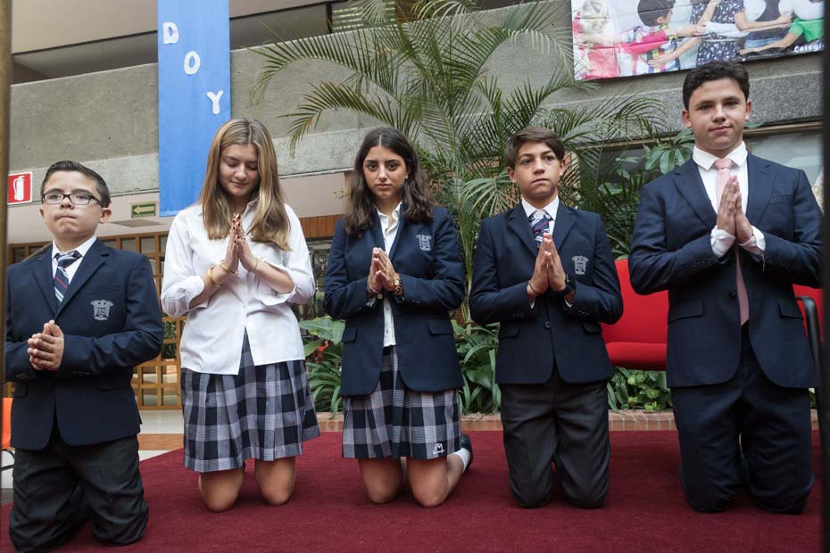 Ir a la Siguiente Foto