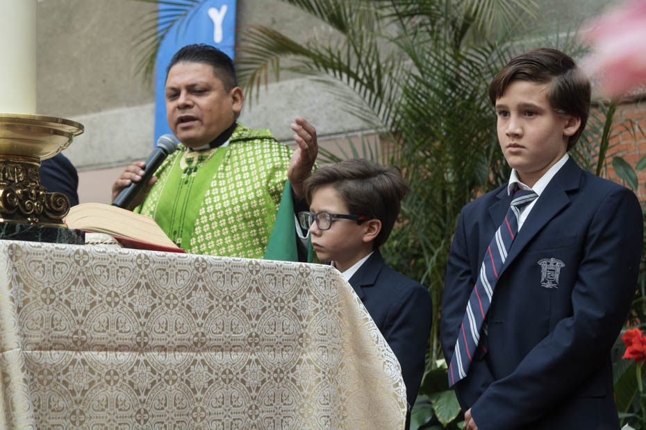 Ir a la Siguiente Foto