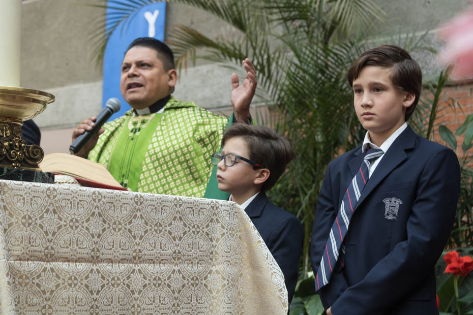 Ir a la Siguiente Foto