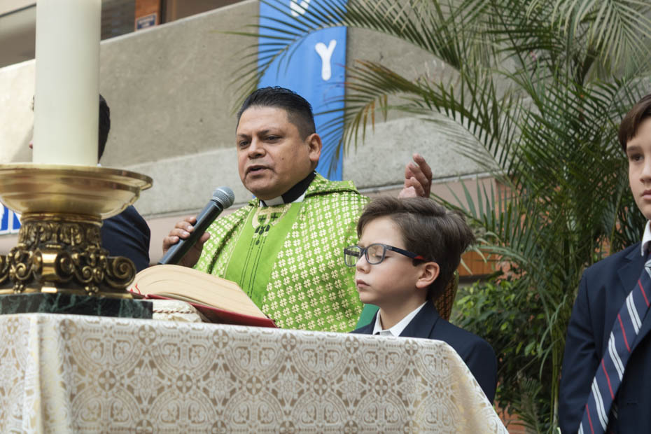 Ir a la Siguiente Foto