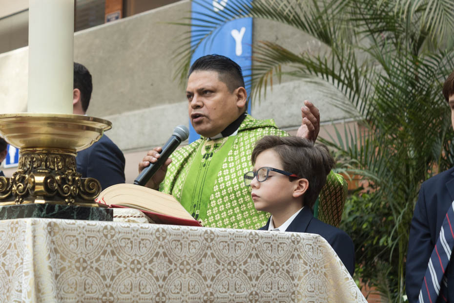 Ir a la Siguiente Foto