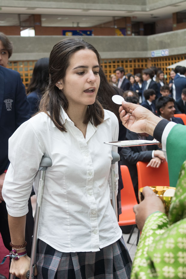 Ir a la Siguiente Foto