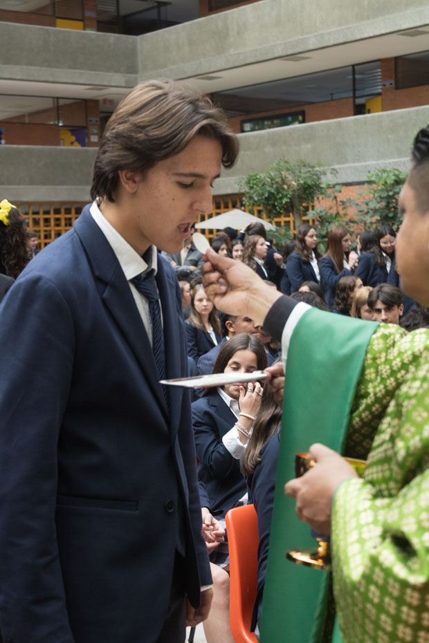 Ir a la Siguiente Foto