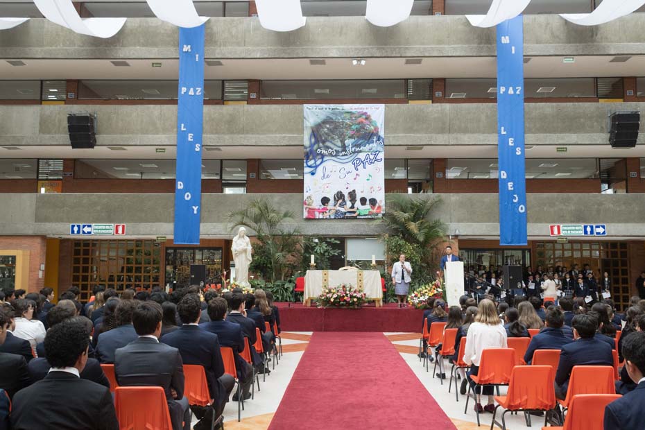 Ir a la Siguiente Foto