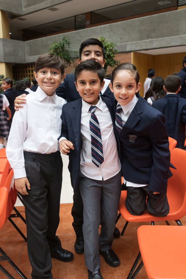 Ir a la Siguiente Foto