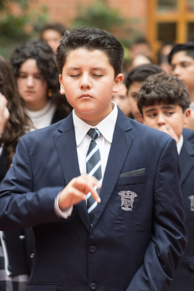 Ir a la Siguiente Foto