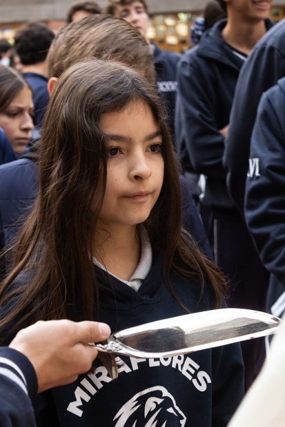 Ir a la Siguiente Foto