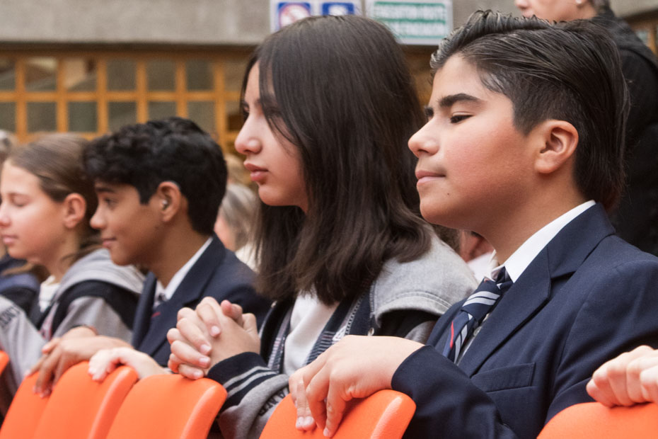 Ir a la Siguiente Foto