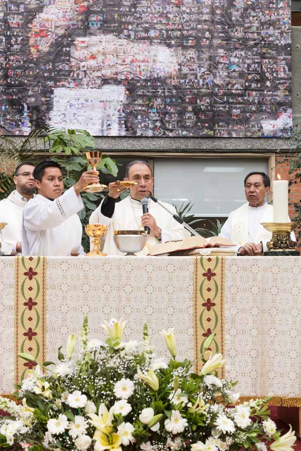 Ir a la Siguiente Foto