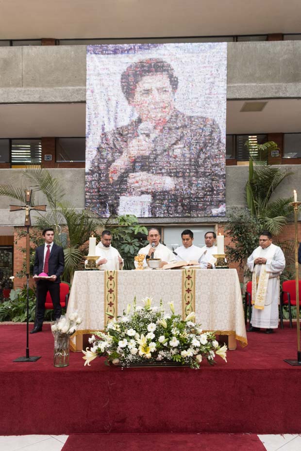 Ir a la Siguiente Foto