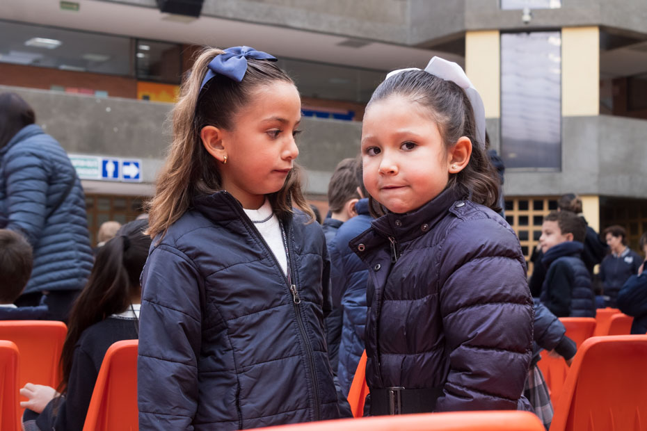 Ir a la Siguiente Foto