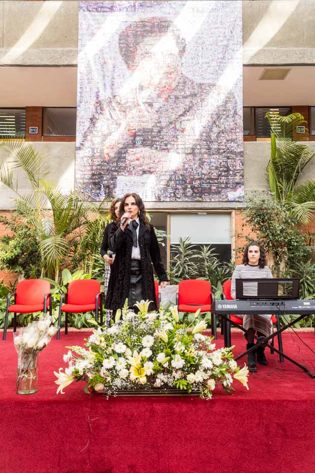 Ir a la Siguiente Foto