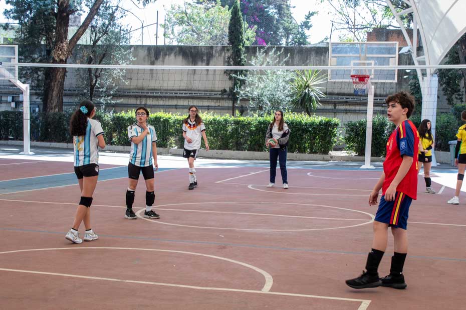 Ir a la Siguiente Foto