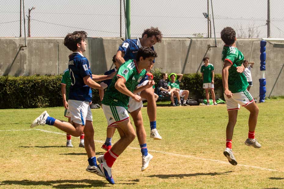 Ir a la Siguiente Foto