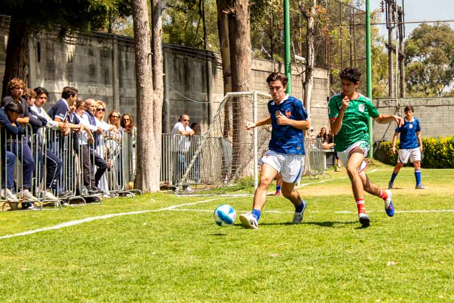 Ir a la Siguiente Foto