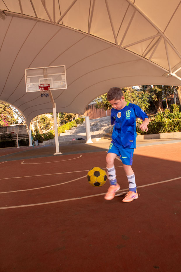 Ir a la Siguiente Foto