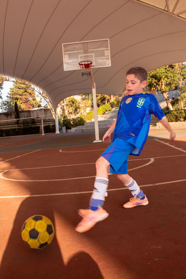 Ir a la Siguiente Foto