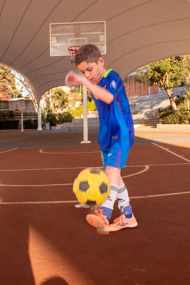 Ir a la Siguiente Foto