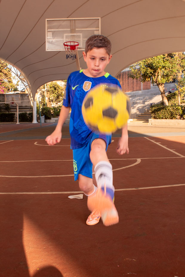 Ir a la Siguiente Foto