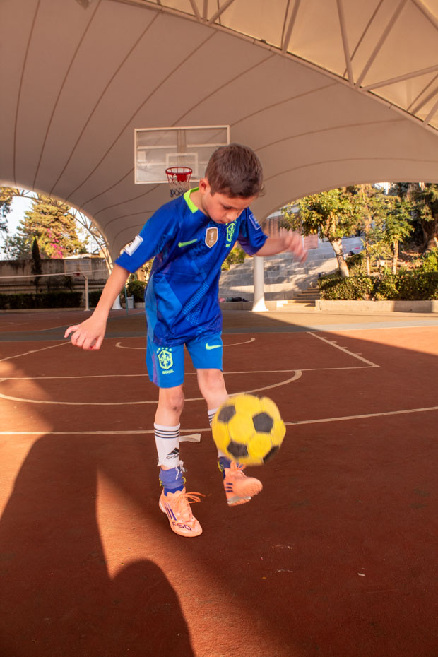 Ir a la Siguiente Foto