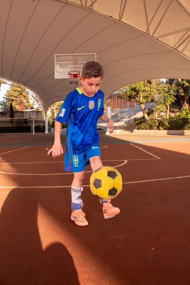 Ir a la Siguiente Foto