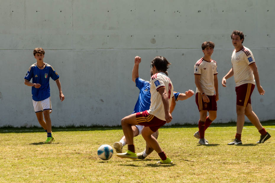 Ir a la Siguiente Foto