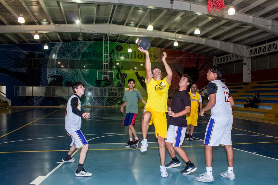 Ir a la Siguiente Foto