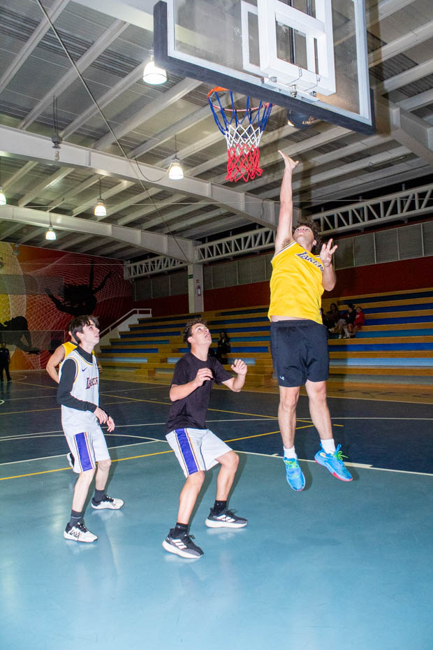 Ir a la Siguiente Foto