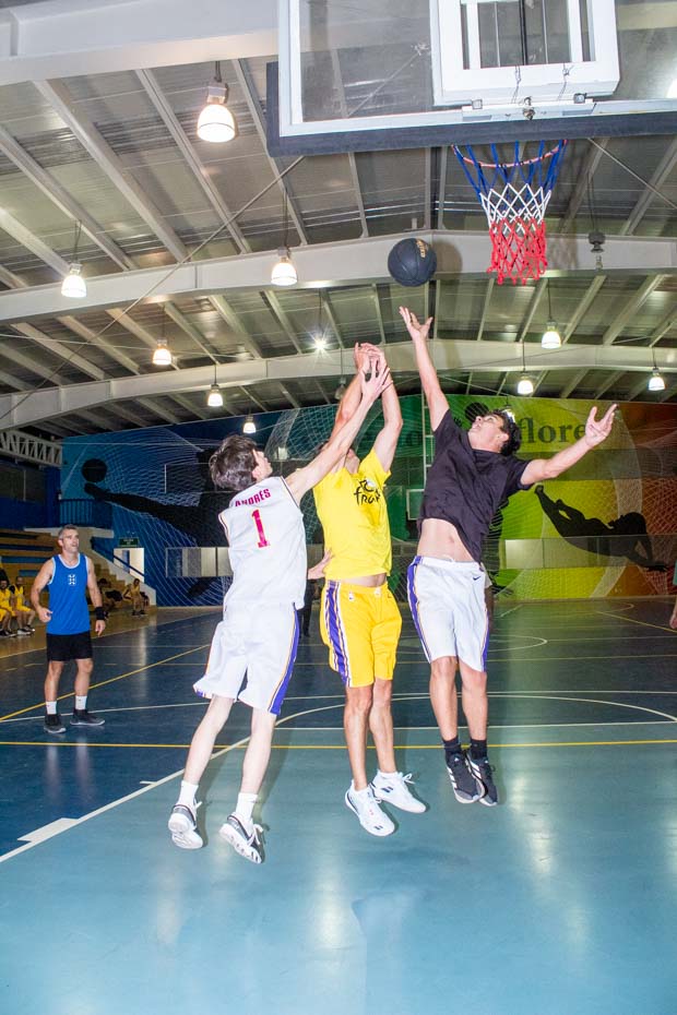 Ir a la Siguiente Foto