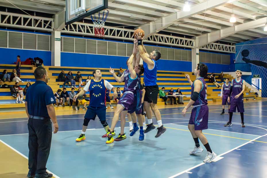 Ir a la Siguiente Foto