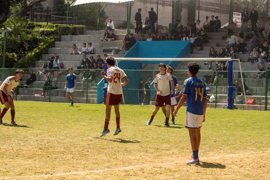 Ir a la Siguiente Foto