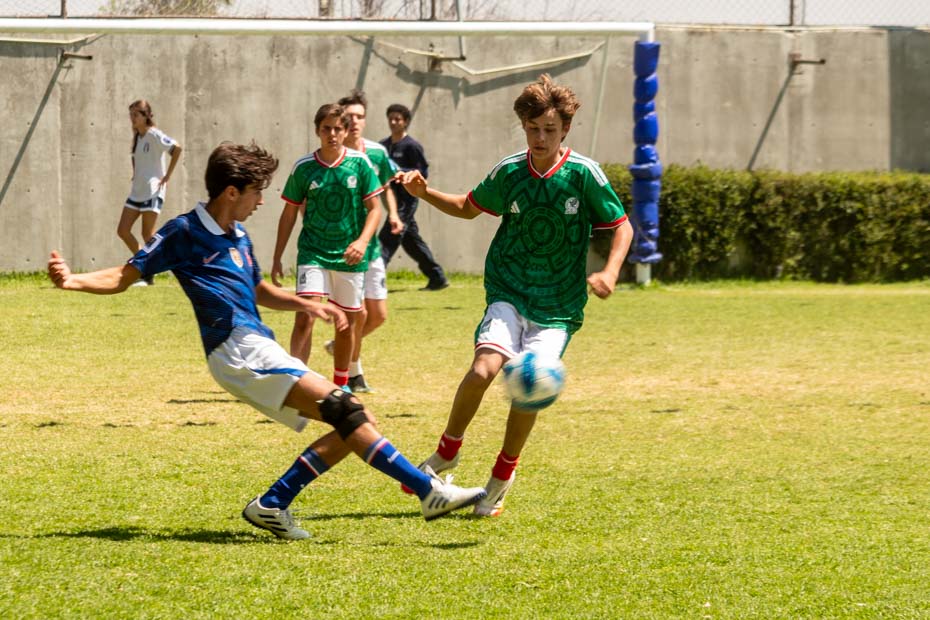 Ir a la Siguiente Foto