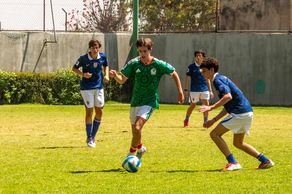 Ir a la Siguiente Foto