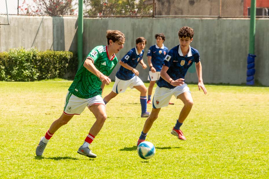 Ir a la Siguiente Foto