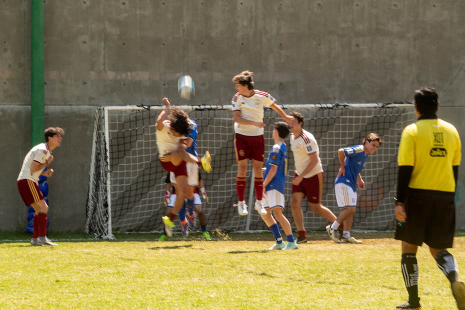 Ir a la Siguiente Foto